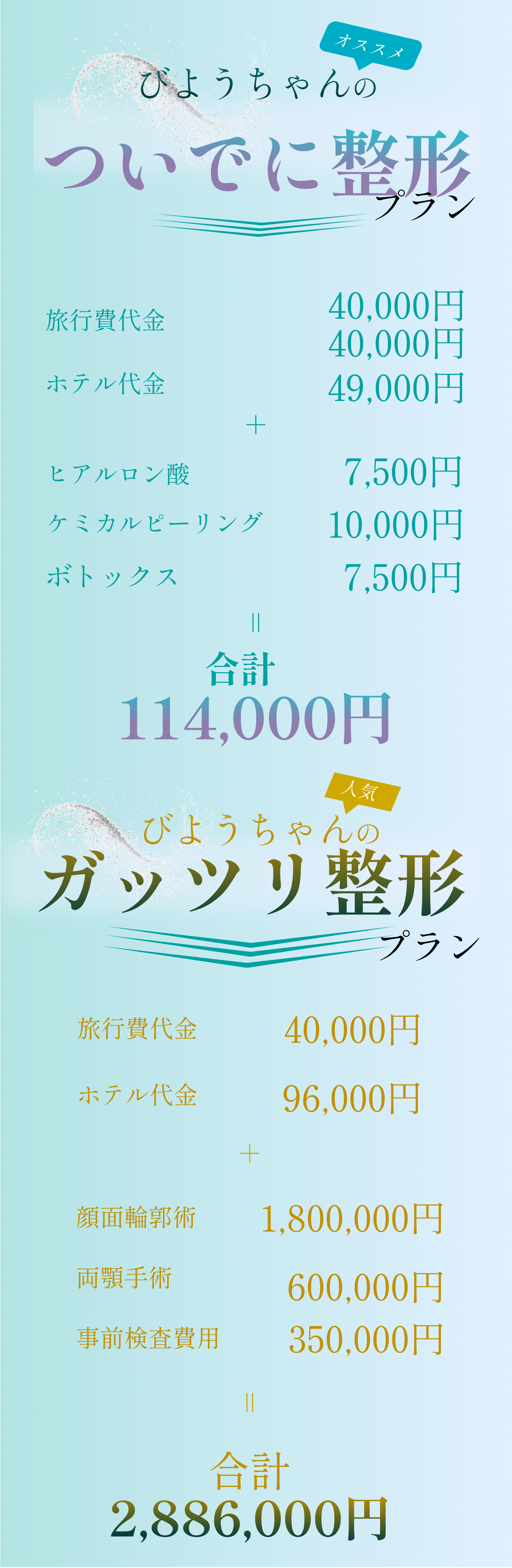 ついでに整形プラン、がっつり整形プラン